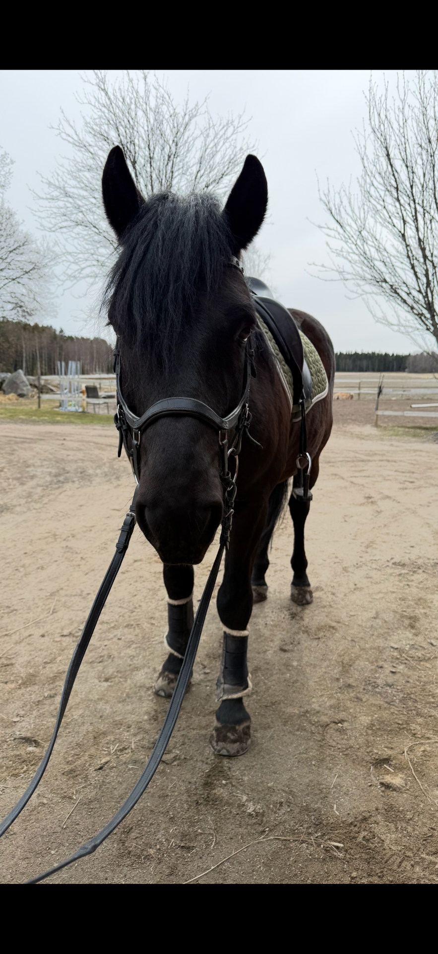 Väinö